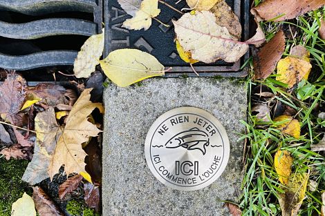 Clou de voirie "Ici commence l'Ouche"